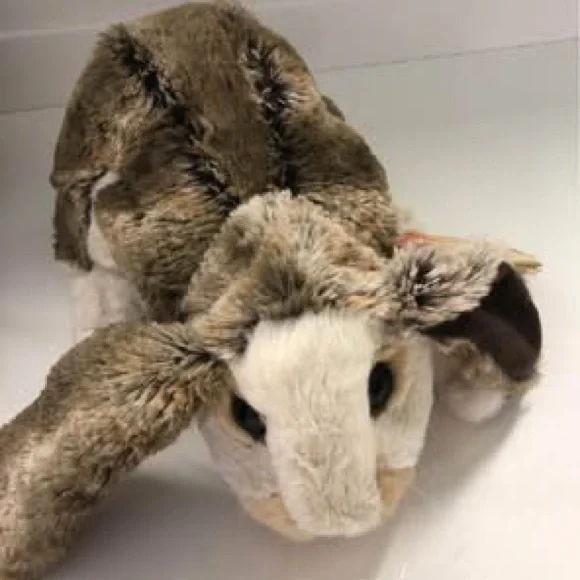 Folkmanis Baby Lop Rabbit hand puppet stuffed animal - Picture 3 of 7